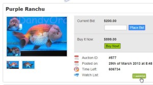 Figure 2.1: Add Goldfish to watchlist